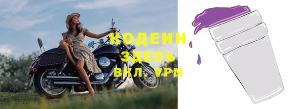 дживик Абаза