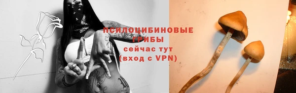 дживик Абаза