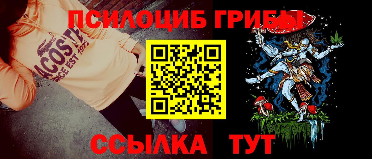 Псилоцибиновые грибы Cubensis  Вход с VPN  Усолье-Сибирское  Псилоцибиновые грибы GOLDEN TEACHER 
